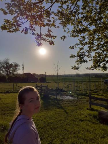 una joven parada en un campo con el sol en el fondo en sheepinn hoekje en Tielt