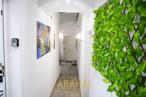 龍達的住宿－ALOJAMIENTO ARAHAL - RONDA，墙上有绿色植物的走廊