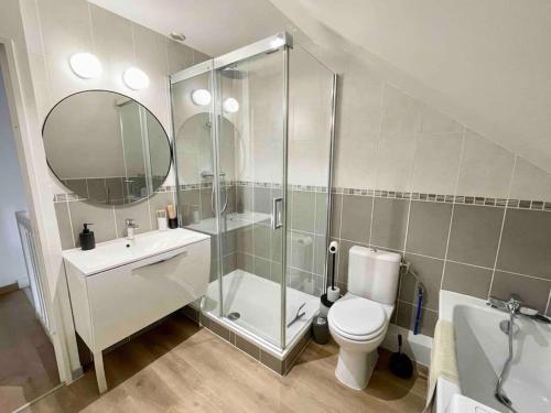 a bathroom with a shower and a toilet and a sink at Marne la Vallée Apartment in Serris