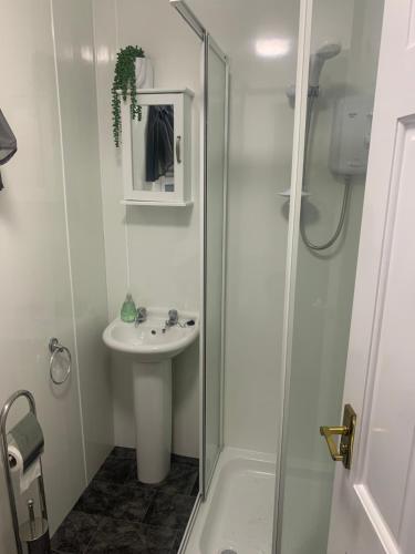 La salle de bains blanche est pourvue d'un lavabo et d'une douche. dans l'établissement Dairy Cottage, à Swordale