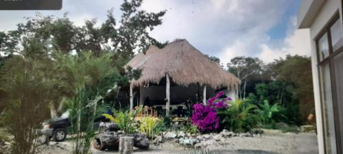 Casa Estrella