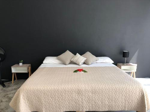 Casa Estrella – Photos 3
