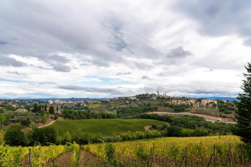 a view of a green hill with a city in the distance at Podere Bellavista in San Gimignano