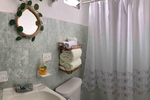 y baño con lavabo, aseo y espejo. en Casa Tierra Mojada, en Coatepec