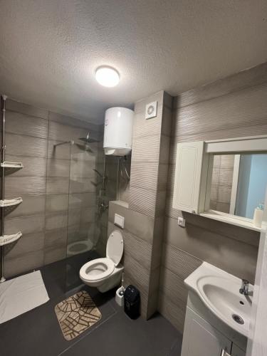 a bathroom with a toilet and a sink and a shower at Apartman Mint in Pale