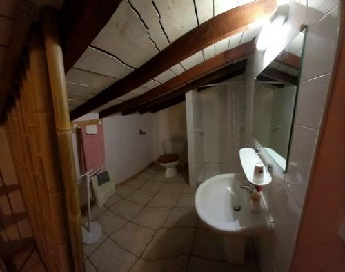 a bathroom with a sink and a toilet at Cèdres Bleus de Joany chez Nathalie in Viviez