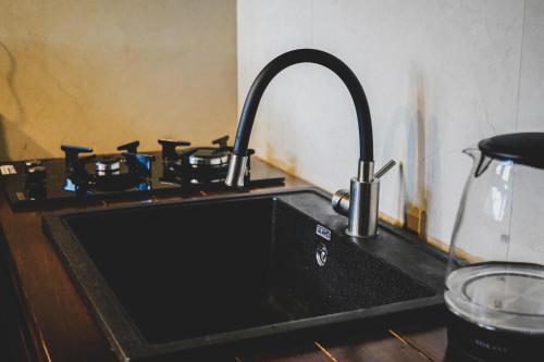 um balcão de cozinha com uma pia e um fogão em Cottage GarShemo Kazbegi em Kazbegi