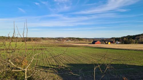 ein grünes Feld mit einer Scheune im Hintergrund in der Unterkunft Verningen Apartment in Larvik