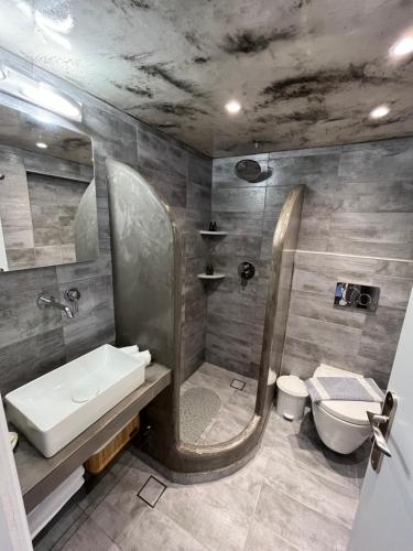 bagno con doccia, lavandino e servizi igienici di Villa Sertis Santorini a Imerovigli