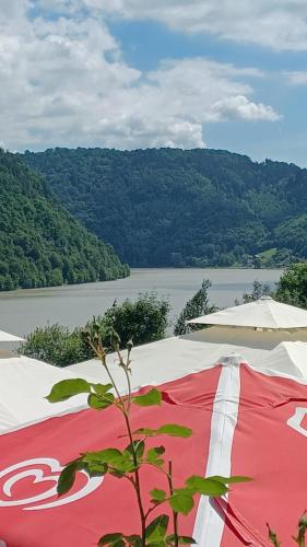 a red and white flag with a view of a lake at Gasthaus zur blauen Donau in Wesenufer