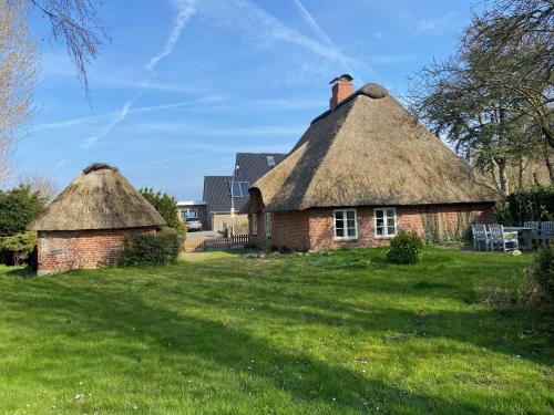 two thatched cottages in a field with grass at Kätchens Glück in Dörphof
