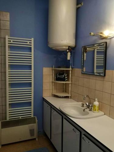 a bathroom with a sink and a mirror at Appartement de 2 chambres avec wifi a Givet in Givet