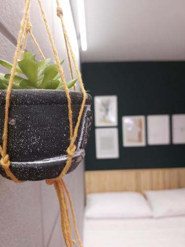 a plant in a pot hanging on a wall at Hostel new way in Sao Paulo