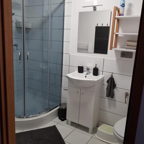 La salle de bains est pourvue d'un lavabo et d'une douche. dans l'établissement Osada nad Potokiem, à Szczyrk
