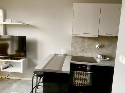 a kitchen with a black stove and a counter at Apartament Poznańska 24 in Bydgoszcz