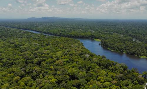 an aerial view of a river in the forest at Hotel El Icaco Tortuguero in Tortuguero