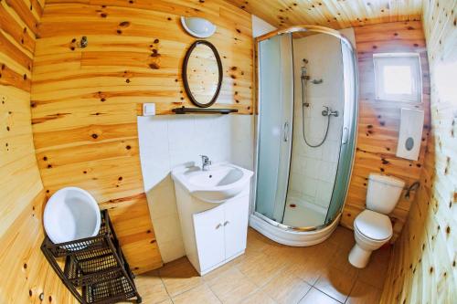 a bathroom with a sink and a shower and a toilet at Chłopy Domki u Jacola in Chłopy