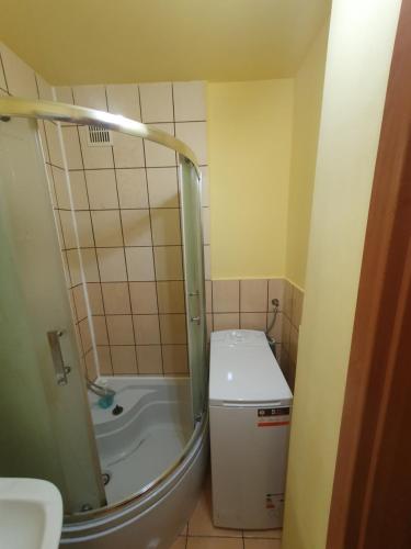 uma pequena casa de banho com chuveiro e WC em Legionów Apartament em Konin