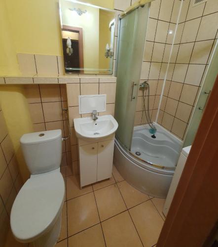 uma casa de banho com um WC, um lavatório e um chuveiro em Legionów Apartament em Konin
