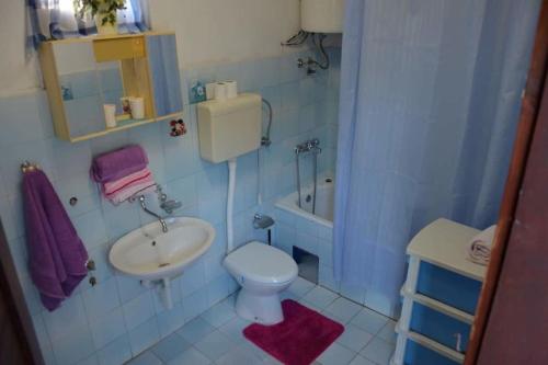 uma casa de banho azul com um lavatório e um WC em House with the ecogarden at the end of the Village em Čitluk