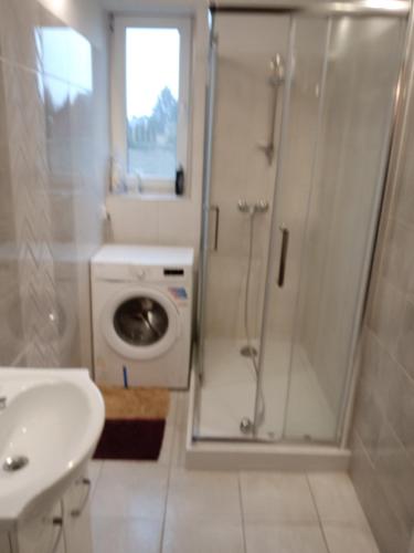 een badkamer met een douche, een toilet en een wastafel bij U Stasia in Uścimów