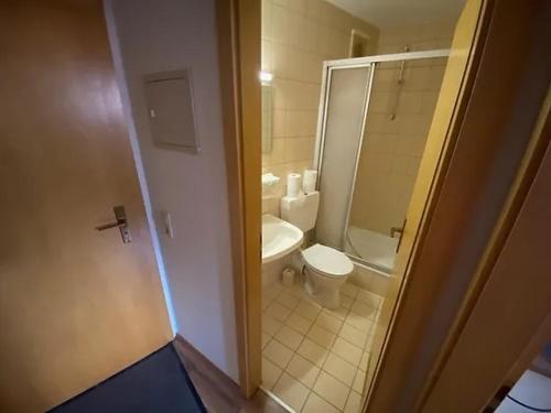 a small bathroom with a toilet and a shower at Family Apartment Šumava in Bayerisch Eisenstein