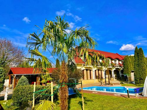 a house with a palm tree and a swimming pool at Bajor Panzió Bük-Bükfürdő, Adults Friendly 12 Plus in Bük