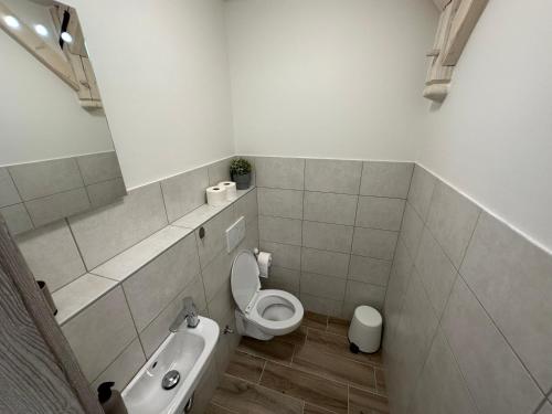Koupelna v ubytování Apartmány Monastery Suites Žireč