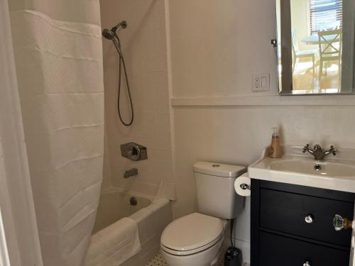La salle de bains est pourvue de toilettes, d'un lavabo et d'une douche. dans l'établissement Southern Charm in Lakeland, à Lakeland