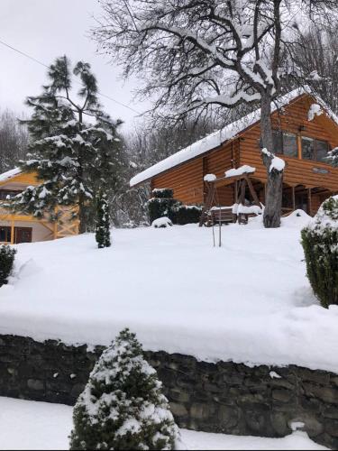 a log cabin in the snow with a christmas tree at Карпатська Модрина in Kosiv