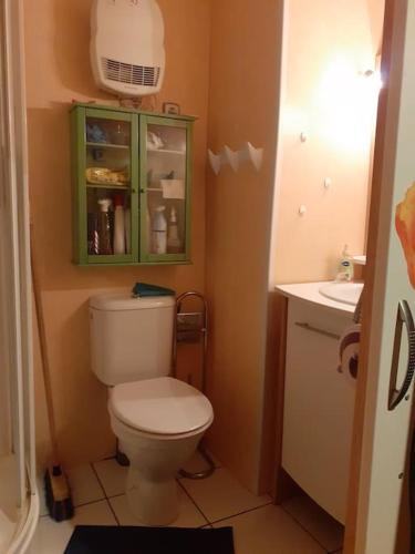 La salle de bains est pourvue de toilettes et d'une armoire verte. dans l'établissement appartement face au Thermes et au calme, à Luchon