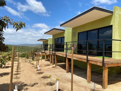 a house with a view of a vineyard at Palta 60 Valle de Guadalupe in Valle de Guadalupe