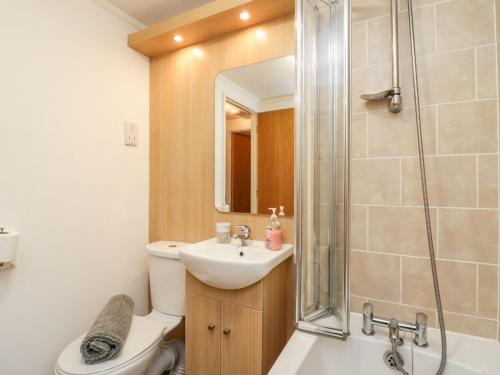 a bathroom with a toilet and a sink and a shower at Walkers Rest in Carnforth