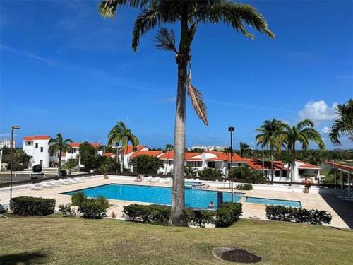 una palmera sentada junto a una piscina en KASA Rio Mar Villa for 2, en Río Grande