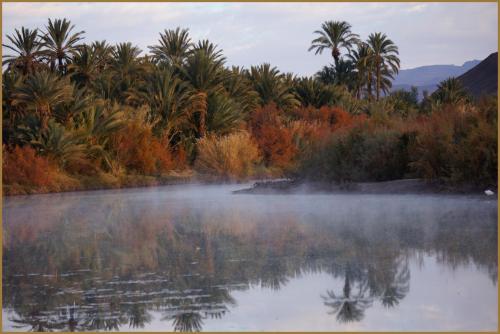 a misty lake with palm trees in the background at Lodge Hara Oasis in Agdz