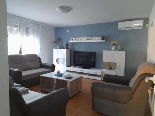 a living room with two couches and a television at Guest House Lona in Golubac