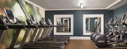 a gym with rows of treadmills and mirrors at Pier House Resort & Spa in Key West