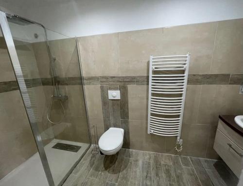 een badkamer met een toilet en een glazen douche bij U Secondu Appart neuf spacieux au calme in Aléria