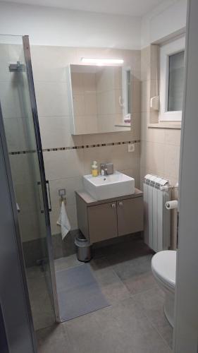 La salle de bains est pourvue d'un lavabo et de toilettes. dans l'établissement Studio apartman Kastav Hill, à Kastav