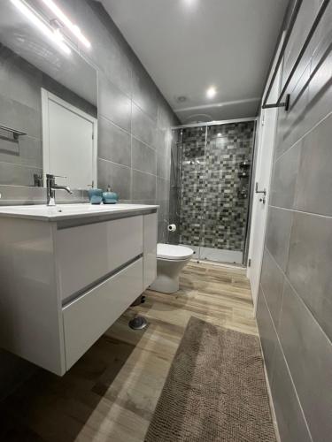 a bathroom with a sink and a toilet at Casa da Margarida in Vila Nova de Foz Coa