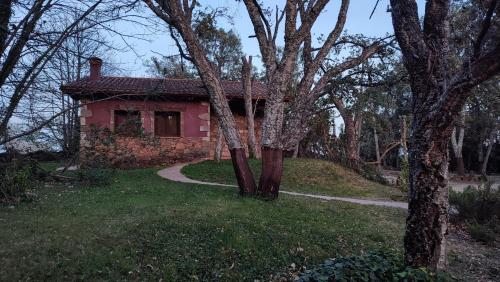 Κήπος έξω από το Apartamentos Rurales La Oropendola