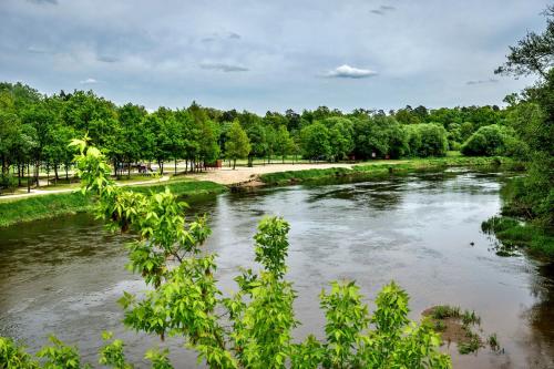 斯巴拉的住宿－Spalskie Pokoje Gościnne，一条河流穿过树木繁茂的公园