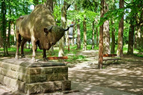 斯巴拉的住宿－Spalskie Pokoje Gościnne，雕像,一头公牛站在石头上