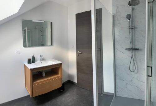 La salle de bains est pourvue d'un lavabo et d'une douche. dans l'établissement Le grand Valtin, 800m d altitude pleine nature 12 pers, à Ban-sur-Meurthe-Clefcy