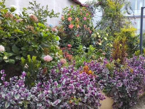 a bunch of flowers on the side of a building at Apto Nuevo, Tranquilo,Bonito,5 min Plaza Principal in Guatapé