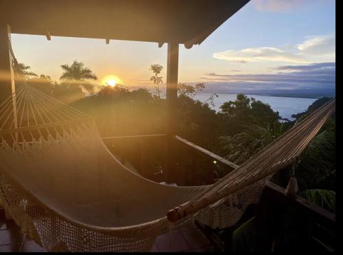 Most animal friendly place on earth Casa Geraldo