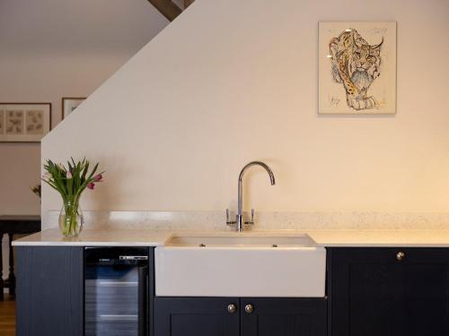 a kitchen with a sink and a tiger picture on the wall at Hatchers Barn - Uk42080 in East Garston