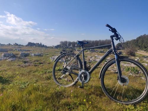 a bike parked in a field of grass at Palazzo Muro Leccese Relais de Charme & Wellness in Muro Leccese
