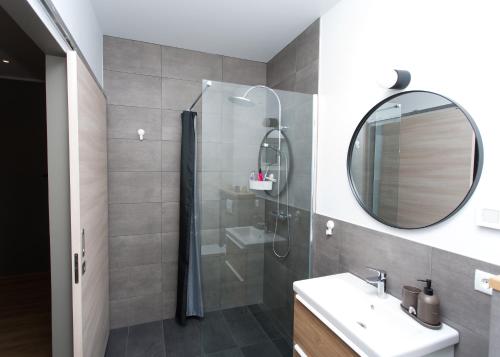 La salle de bains est pourvue d'une douche, d'un lavabo et d'un miroir. dans l'établissement Glaumbær III, à Varmahlid
