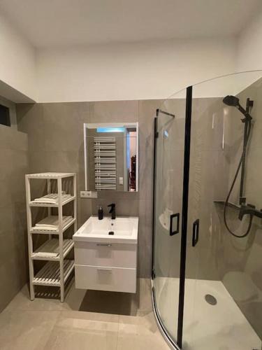 a bathroom with a shower and a sink and a shower at Ferienwohnung - Schweriner Altstadt - FeWo 9 in Schwerin